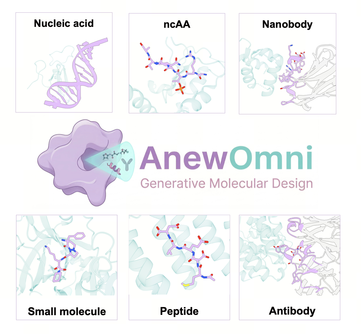 AnewOmni