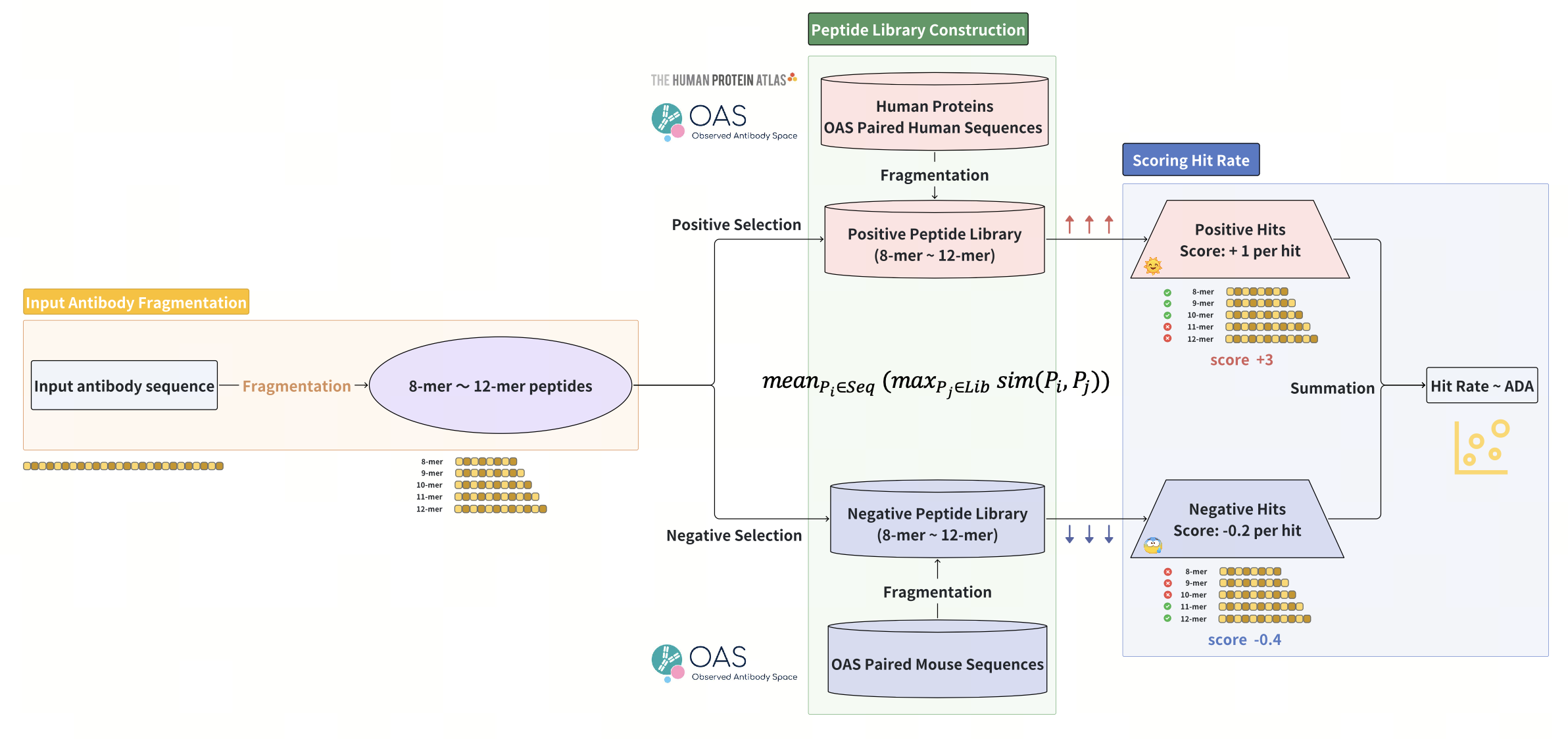 ImmunoSeq