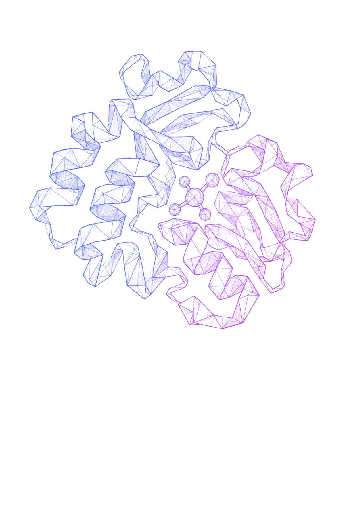 AnewFold