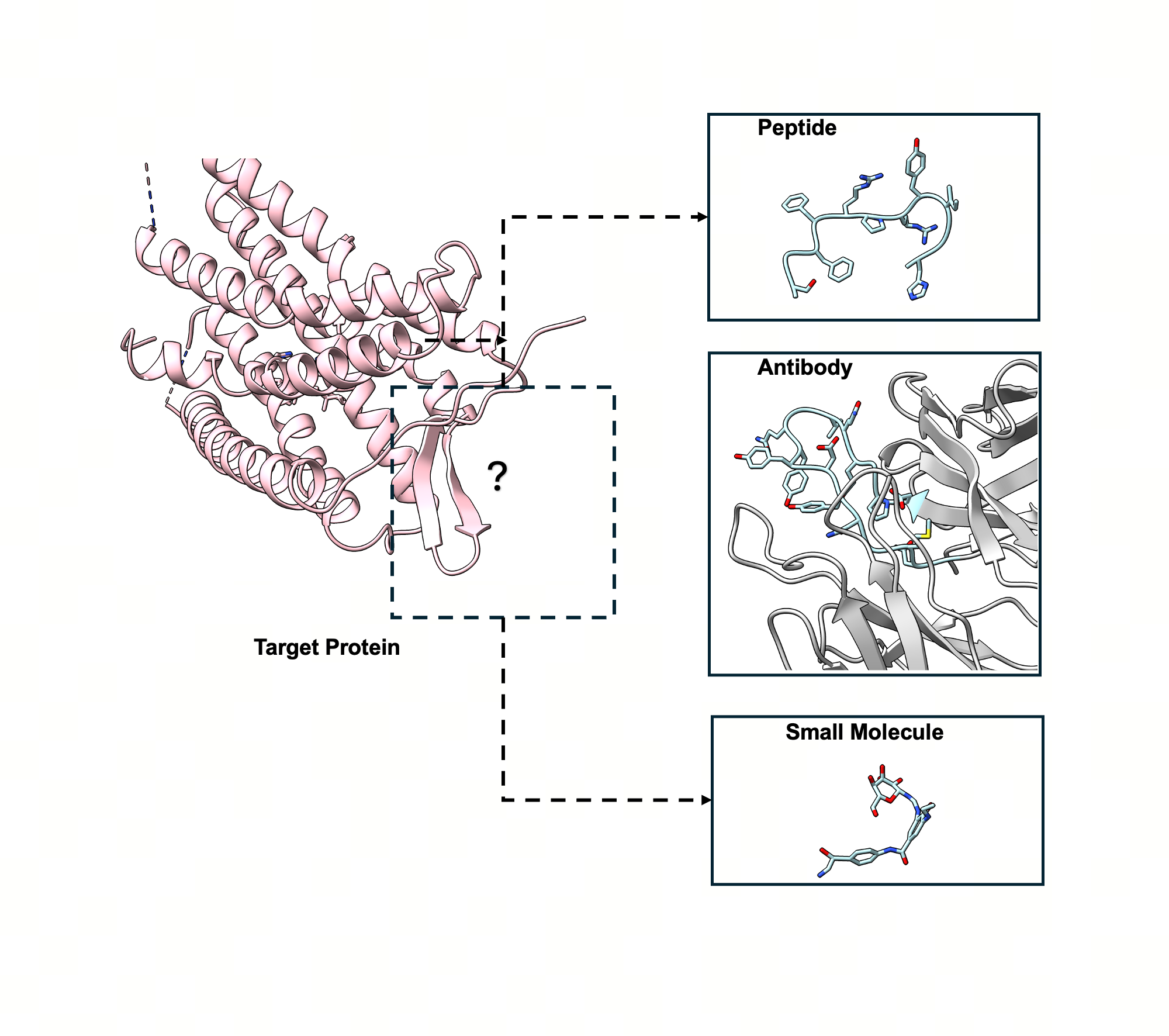 UniMoMo: Unified Generative Modeling of 3D Molecules for De Novo Binder Design